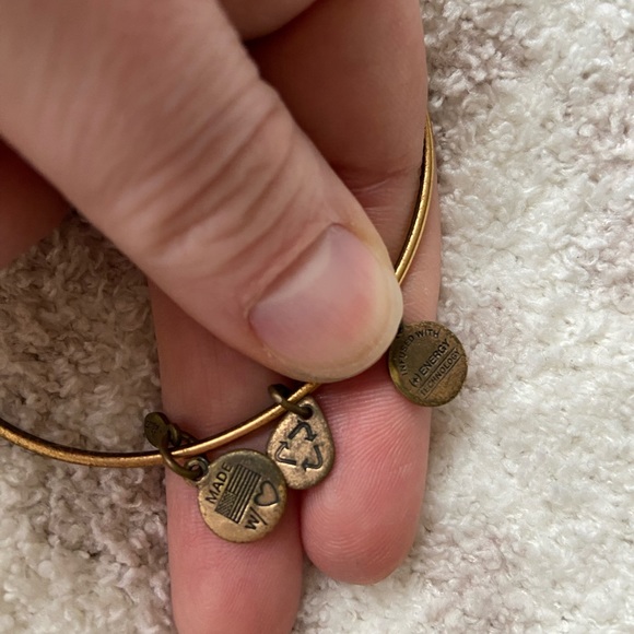 Alex and Ani sister bracelet - Picture 3 of 4